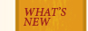 What's New at Penhollows